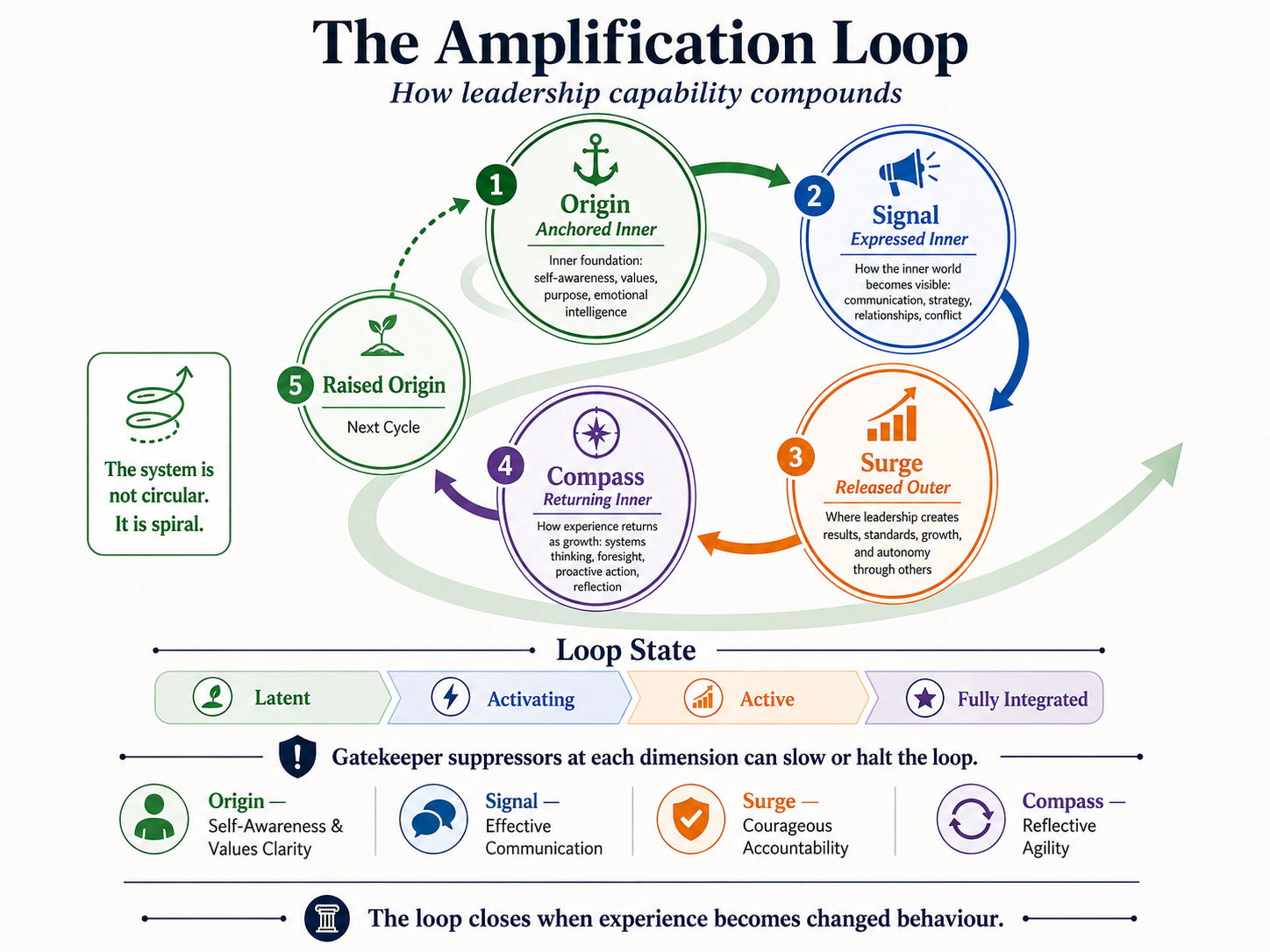 The Amplification Loop diagram showing how leadership capability compounds through Origin, Signal, Surge, Compass, and Raised Origin